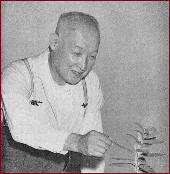 File:Randed-Portrait of Late Mr. Takenoshin Nakai (in Kagoshima, July 1952).jpg