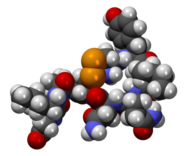 File:Png-OxitocinaCPK3D.png