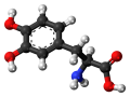 L-3,4-dihydroxyphenylalanine